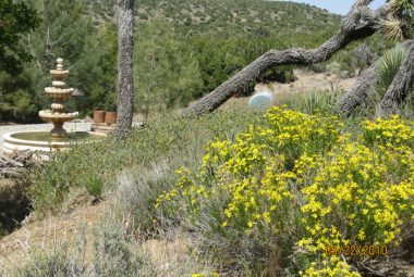 Film This Location movie ranch view fountain